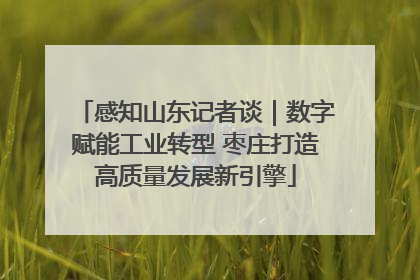 感知山东记者谈｜数字赋能工业转型 枣庄打造高质量发展新引擎