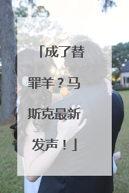 成了替罪羊？马斯克最新发声！
