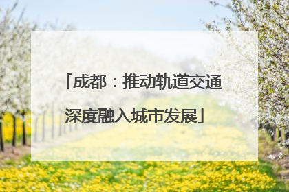 成都：推动轨道交通深度融入城市发展