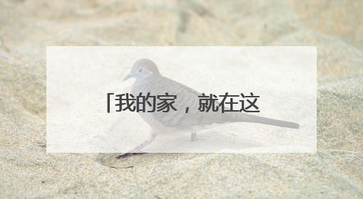 我的家，就在这里——“中国好人”陈树伟再赴广西开展爱心助学
