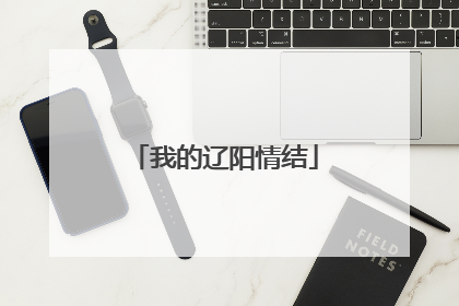 我的辽阳情结