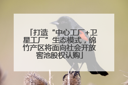 打造“中心工厂+卫星工厂”生态模式，绵竹产区将面向社会开放窖池股权认购