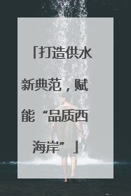 打造供水新典范，赋能“品质西海岸”