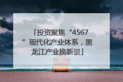 投资聚焦“4567”现代化产业体系，黑龙江产业换新景
