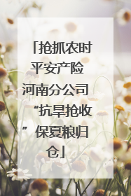 抢抓农时 平安产险河南分公司“抗旱抢收”保夏粮归仓