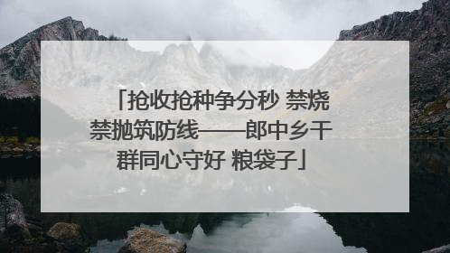 抢收抢种争分秒 禁烧禁抛筑防线——郎中乡干群同心守好 粮袋子