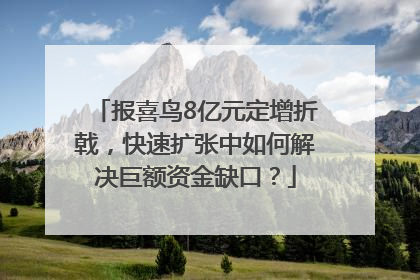 报喜鸟8亿元定增折戟，快速扩张中如何解决巨额资金缺口？