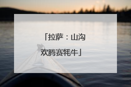 拉萨：山沟欢腾赛牦牛