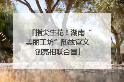 指尖生花！湖南“美丽工坊”随故宫文创亮相联合国