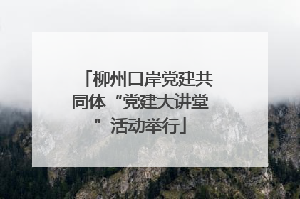 柳州口岸党建共同体“党建大讲堂”活动举行