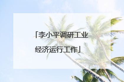 李小平调研工业经济运行工作