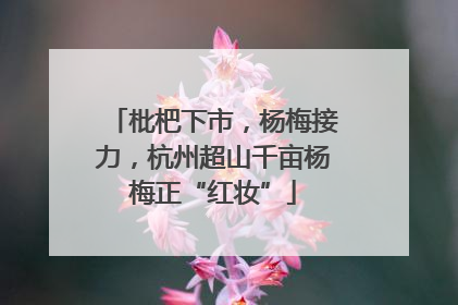 枇杷下市，杨梅接力，杭州超山千亩杨梅正“红妆”