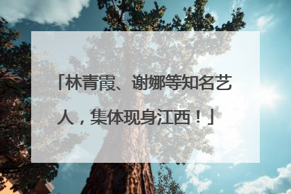 林青霞、谢娜等知名艺人，集体现身江西！