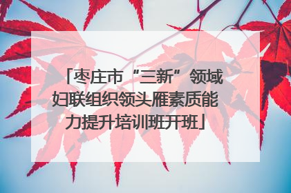 枣庄市“三新”领域妇联组织领头雁素质能力提升培训班开班