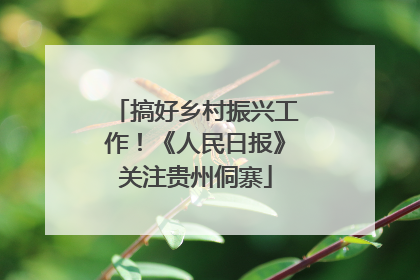 搞好乡村振兴工作！《人民日报》关注贵州侗寨