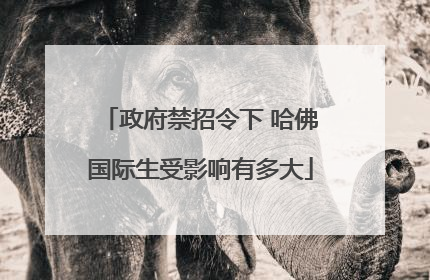 政府禁招令下 哈佛国际生受影响有多大