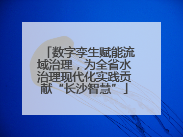 数字孪生赋能流域治理，为全省水治理现代化实践贡献“长沙智慧”