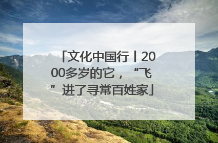 文化中国行丨2000多岁的它，“飞”进了寻常百姓家