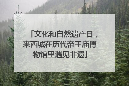 文化和自然遗产日，来西城在历代帝王庙博物馆里遇见非遗