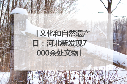 文化和自然遗产日：河北新发现7000余处文物