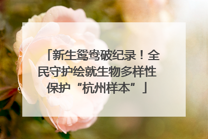 新生鸳鸯破纪录！全民守护绘就生物多样性保护“杭州样本”