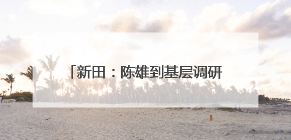 新田：陈雄到基层调研指导“十五五”规划编制与城乡品质大提升工作