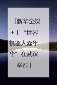 新华全媒+丨“世界机器人嘉年华”在武汉举行