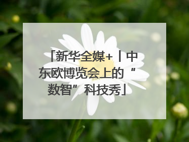 新华全媒+丨中东欧博览会上的“数智”科技秀