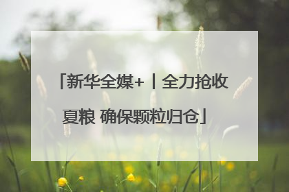 新华全媒+丨全力抢收夏粮 确保颗粒归仓