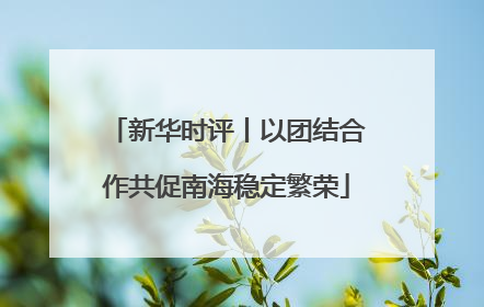 新华时评丨以团结合作共促南海稳定繁荣