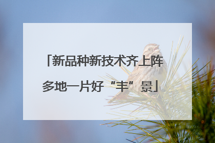 新品种新技术齐上阵 多地一片好“丰”景