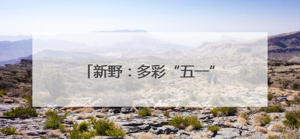 新野：多彩“五一” 田园风光引客来