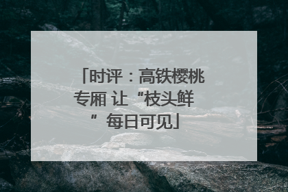 时评：高铁樱桃专厢 让“枝头鲜”每日可见