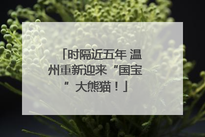 时隔近五年 温州重新迎来“国宝”大熊猫！