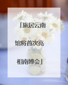 旅居云南馆将首次亮相南博会