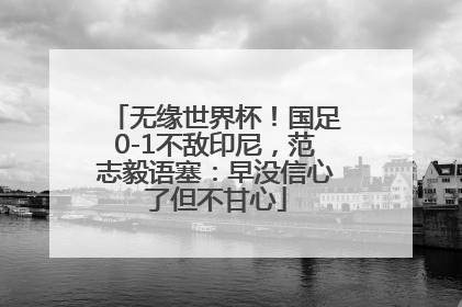 无缘世界杯！国足0-1不敌印尼，范志毅语塞：早没信心了但不甘心