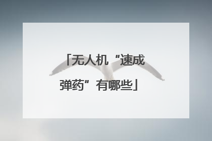 无人机“速成弹药”有哪些