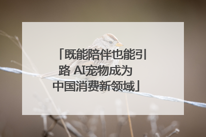 既能陪伴也能引路 AI宠物成为中国消费新领域