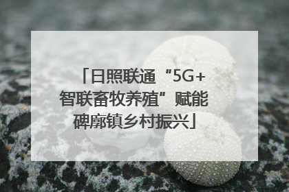 日照联通“5G+智联畜牧养殖”赋能碑廓镇乡村振兴