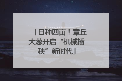日种四亩！章丘大葱开启“机械插秧”新时代