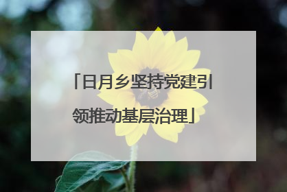 日月乡坚持党建引领推动基层治理
