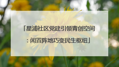 星浦社区党建引领青创空间：闲置阵地巧变民生枢纽