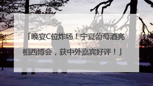 晚宴C位炸场！宁夏葡萄酒亮相西博会，获中外嘉宾好评！
