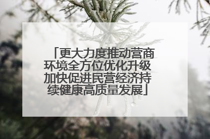 更大力度推动营商环境全方位优化升级加快促进民营经济持续健康高质量发展