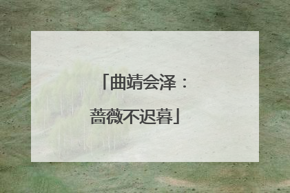 曲靖会泽：蔷薇不迟暮