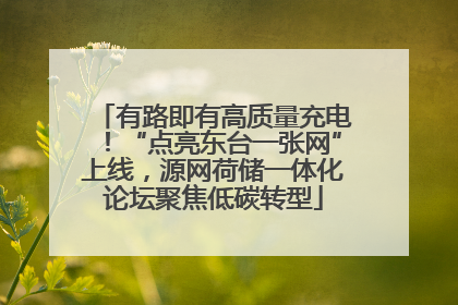 有路即有高质量充电！“点亮东台一张网”上线，源网荷储一体化论坛聚焦低碳转型
