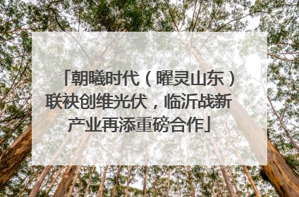 朝曦时代（曜灵山东）联袂创维光伏，临沂战新产业再添重磅合作