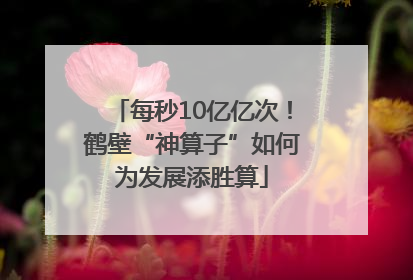 每秒10亿亿次！鹤壁“神算子”如何为发展添胜算