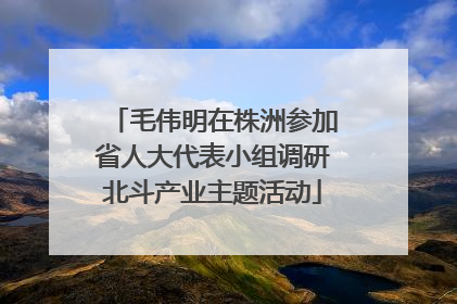 毛伟明在株洲参加省人大代表小组调研北斗产业主题活动