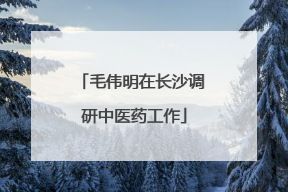 毛伟明在长沙调研中医药工作